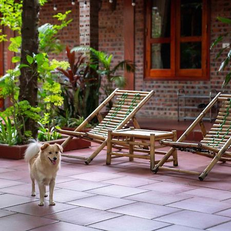 Tam Family Homestay Ninh Binh Zewnętrze zdjęcie