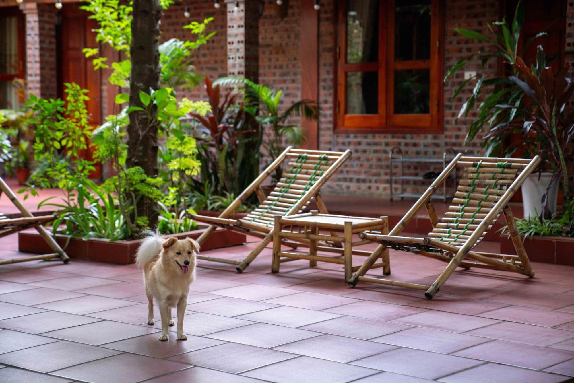 Tam Family Homestay Ninh Binh Zewnętrze zdjęcie